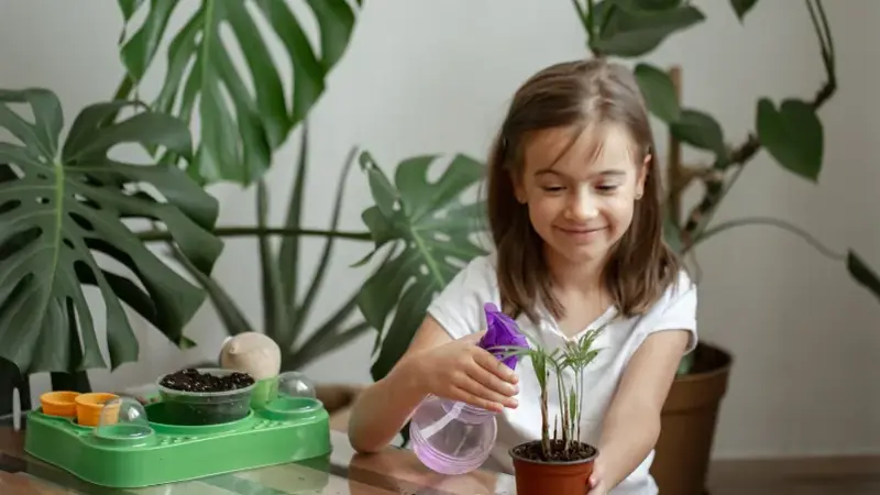 Creating a Child-Friendly Home Environment